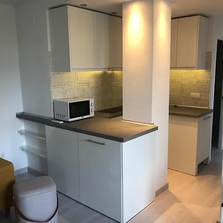 Puerto Banus Apartment